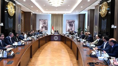 رئيس الوزراء يستعرض تحديات قطاع صناعة الحديد والصلب
