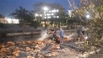 شاهد، اللحظات الأولى لحريق بحديقة الأمل في المحلة