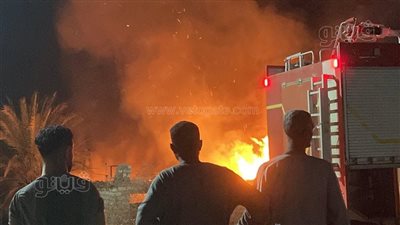 السيطرة على حريق اندلع في حوش مواشي بالأقصر (فيديو)