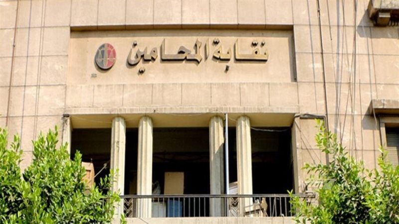 نقابة المحامين، فيتو
