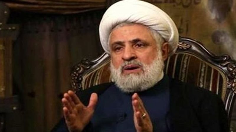 نعيم قاسم، فيتو 