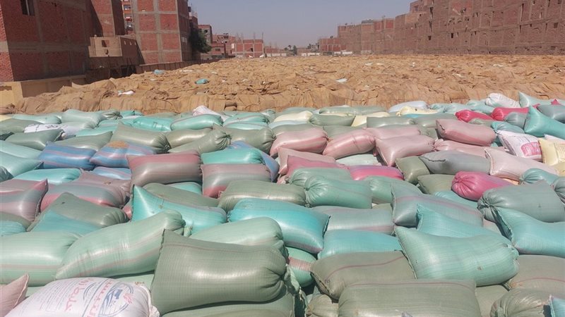 توريد القمح بأسيوط،