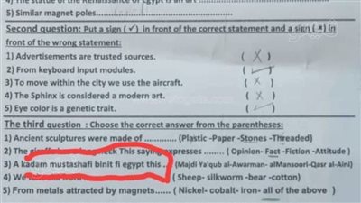 سؤال بالفرانكو، امتحان الإنجليزي لثالثة ابتدائي بالبحيرة يثير الجدل (صورة) 