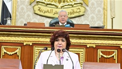 البرلمان يوافق على تشغيل خطوط جوية منتظمة بين مصر ونيوزلندا