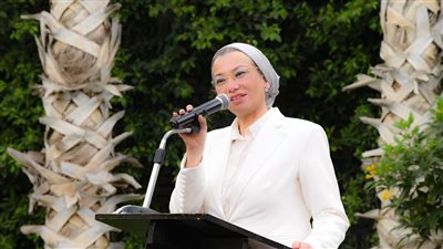 البيئة تعلن تركيب أجهزة بالأقمار الصناعية لتتبع أسماك القرش في البحر الأحمر