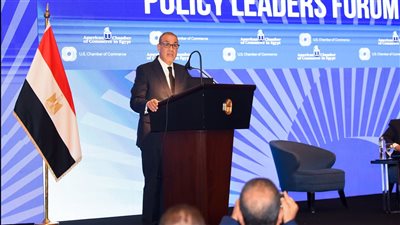 وزير الخارجية: جذب الاستثمارات الأمريكية أولوية مصرية (صور)