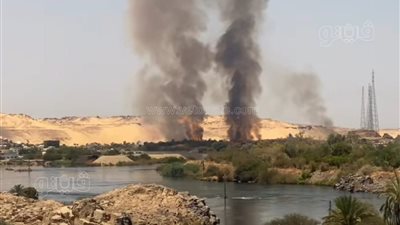 اندلاع حريق بجزيرة نيلية بأسوان والحماية المدنية تحاول السيطرة