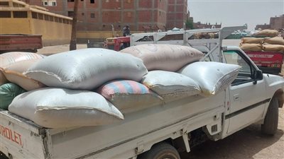 ضبط 6 أطنان قمح مسوس وتحرير 571 محضرًا خلال حملات تموينية بأسيوط 