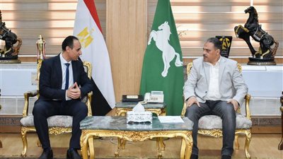 محافظ الشرقية يناقش آليات تنفيذ المبادرة الرئاسية الصحية 