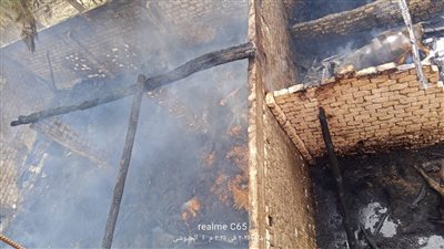  نفوق 16 رأس ماشية وأغنام وحصان حصيلة حريق عزبة الطين بالدقهلية (صور) 