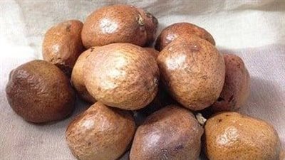 الدوم يخفض ضغط الدم ويخلص جسمك من السموم