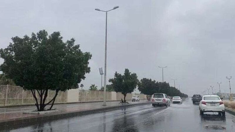 حالة الطقس غدا، فيتو