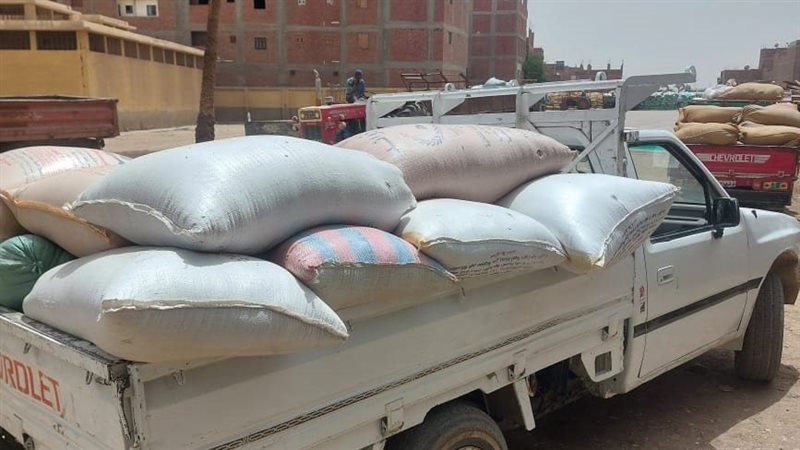 ضبط قمح مسوس بأسيوط،