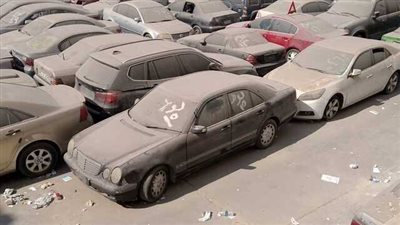 كل ما تريد معرفته عن مزاد سيارات جمرك بورسعيد