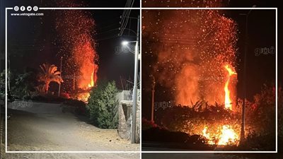 اللقطات الأولى لحريق أشجار الزينة بطريق مطار الأقصر الدولي (فيديو)