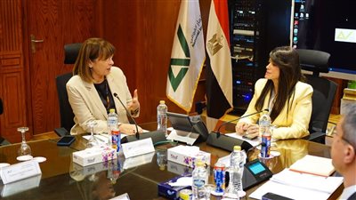 المشاط: نعمل على تطوير آليات العمل المشترك مع شركاء التنمية لدعم القطاع الخاص