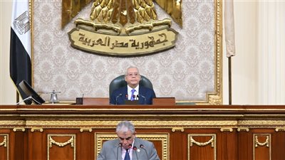 ضبط الأسعار ومواجهة الغلاء، مطالب برلمانية لحماية العلاوة من عدوان التضخم