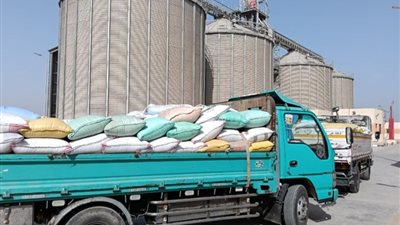 تموين الشرقية: توريد 577 ألف طن قمح للمواقع التخزينية