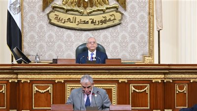 بعد موافقة النواب.. التفاصيل الكاملة لعلاوة الموظفين (إنفوجراف)