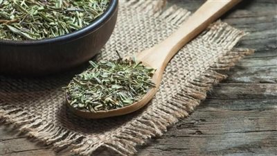 فوائد الزعتر، مضاد حيوي طبيعي ومقوٍّ للمناعة