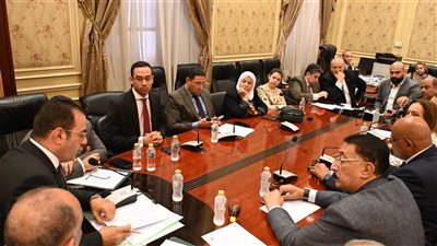 رياضة النواب توصي بتخصيص أرض جمعية بيوت الشباب بالقاهرة