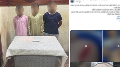 أخبار الحوادث اليوم.. تطورات جديدة فى قصة نوال الدجوي.. ربة منزل تستعين بأبنائها فى إلقاء طفل بنهر النيل.. أقوال الفنانة زينة في واقعة الكلب الشرس