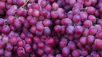 فوائد العنب الأحمر، يحارب الشيخوخة ويخفض ضغط الدم