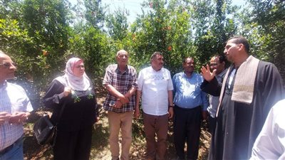 لمناقشة طرق مكافحة آفة النيماتودا (صور) 