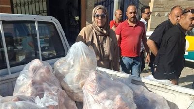 ضبط 750 كيلو دواجن غير صالحة للاستهلاك الآدمي بدمياط