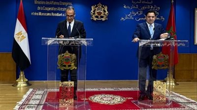 وزير الخارجية يسلم رسالة من السيسي إلى ملك المغرب