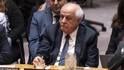 مندوب فلسطين ينفجر بالبكاء في مجلس الأمن (فيديو)