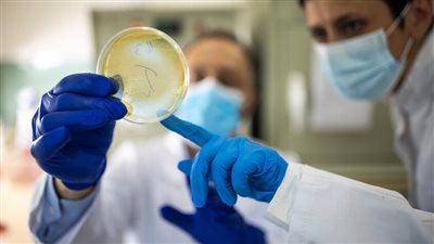 بعد 50 عاما من الانتظار، اختراق علمي قد ينقذ أرواح الملايين حول العالم من بكتيريا قاتلة