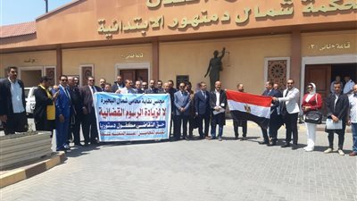 وقفة احتجاجية لمحامين البحيرة رفضًا للرسوم القضائية الجديدة (صور) 