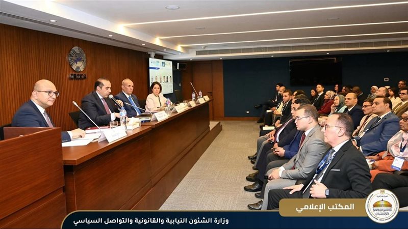 وزير الشئون النيابية،