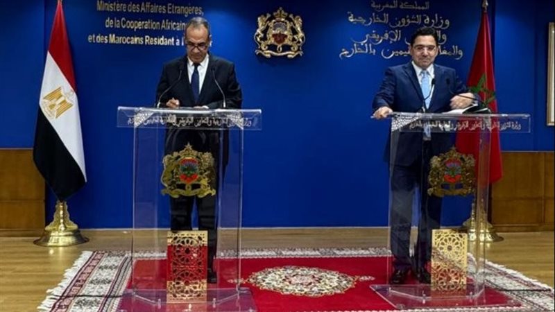 وزير الخارجية ونظيره