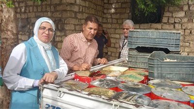 محافظ المنيا: استمرار الحملات الرقابية ولا تهاون في صحة المواطن 