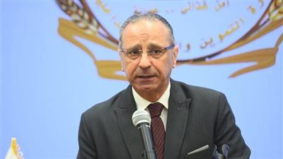  60 ٪ نسبة تنفيذ المنطقة اللوجستية بالدقهلية بـ 2.5 مليار جنيه