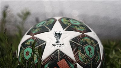 ميونخ تتزين لاستضافة نهائي دوري أبطال أوروبا (صور)