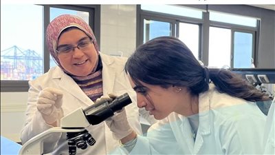 الأحد، الأكاديمية العربية تستضيف فعاليات إطلاق منصة 