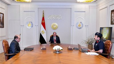 السيسي يوجه بتوافر الأرصدة الاستراتيجية من السلع الأساسية (فيديو)