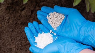 انخفاض طن اليوريا العادي 2358 جنيها، أسعار الأسمدة اليوم في الأسواق