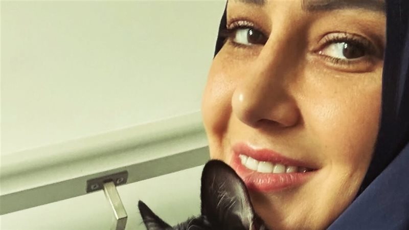 حلا شيحة