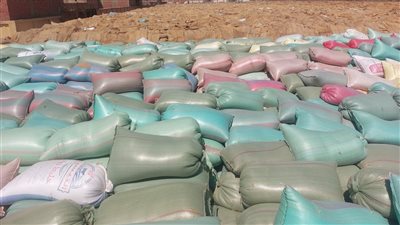 توريد 263 ألف طن قمح محلي بمراكز التخزين والصوامع في الدقهلية 