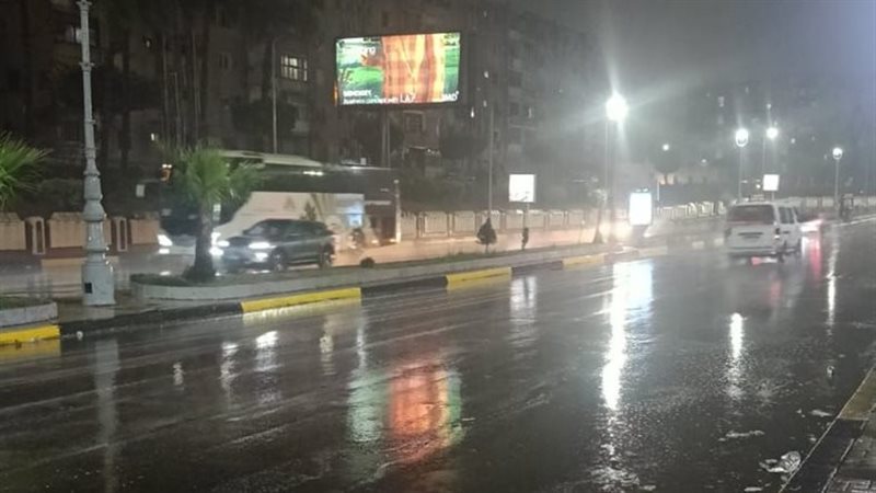 الإسكندرية، فيتو