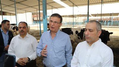 علاء فاروق: مبادرة لإحلال سلالات الأبقار المحسنة لدى المزارعين 