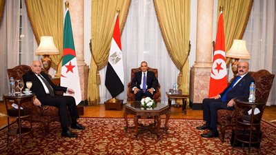 بينهم مصر، بيان عاجل لوزراء خارجية 3 دول عربية بشأن ليبيا (صور)