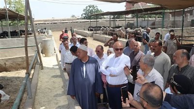 بطاقة 1500 رأس، محافظ القليوبية يتفقد مزرعة للثروة الحيوانية بقرية العمار بطوخ