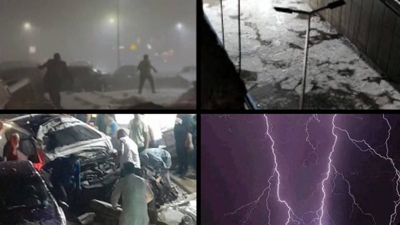 الإسكندرية، فيتو
