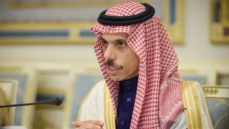 وزير الخارجية السعودي،فيتو