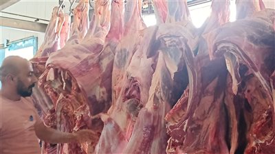 التموين: طرح من 30 إلى 50 طن لحوم هندية يوميًا استعدادًا لعيد الأضحى